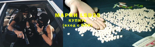 ГАЛЛЮЦИНОГЕННЫЕ ГРИБЫ Балабаново
