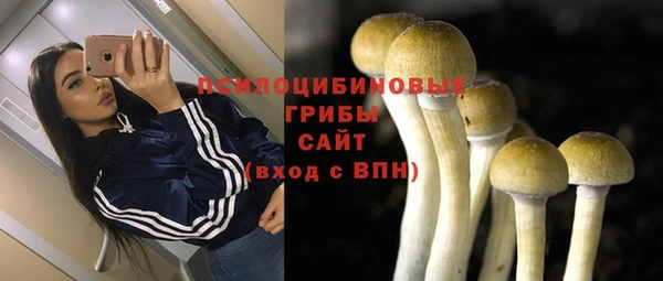 ГАЛЛЮЦИНОГЕННЫЕ ГРИБЫ Балабаново