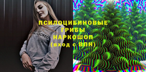 ГАЛЛЮЦИНОГЕННЫЕ ГРИБЫ Балабаново