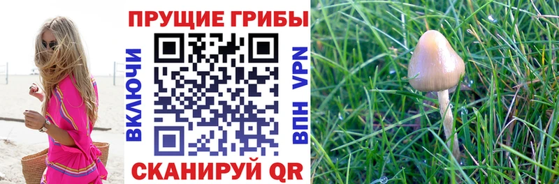 Галлюциногенные грибы мухоморы  Купить где  Артёмовск 
